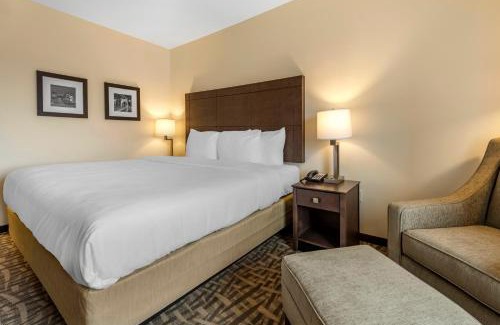 East Allegheny Hotel | Comfort Inn & Suites Pittsburgh-Northshore