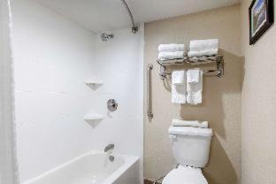 Pinetop-Lakeside Hotel | Comfort Inn & Suites Pinetop Show Low