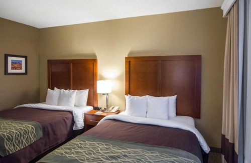 Red Oak Hotel | Comfort Inn & Suites