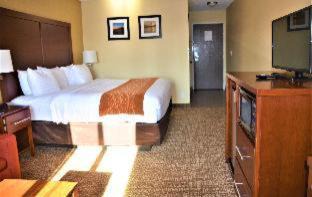 Downtown Vancouver Hotel | Comfort Inn & Suites Vancouver Downtown City Center
