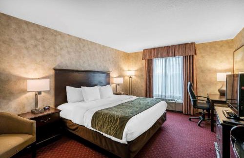 Walla Walla Hotel | Comfort Inn & Suites Walla Walla
