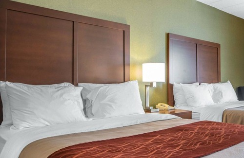 Winchester Hotel | Comfort Inn Winchester