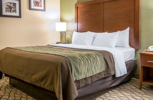 Winchester Hotel | Comfort Inn Winchester