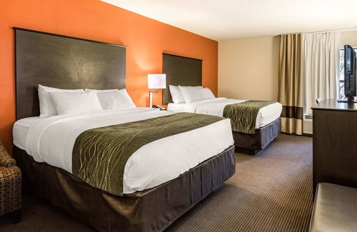 Kalamazoo Hotel | Comfort Inn Wings Stadium