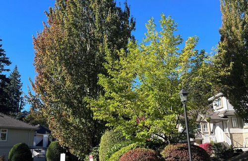 Westwood Plateau House | Comfort room with an ensuite full bath in a beautiful Westwood Plateau home