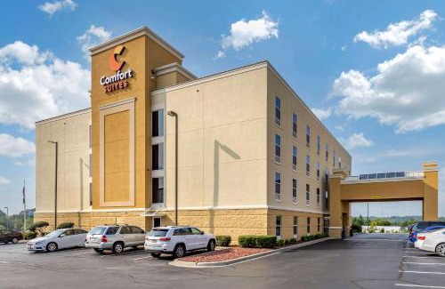 Anderson Hotel | Comfort Suites Anderson-Clemson