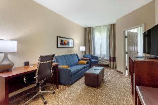 Clarksville Hotel | Comfort Suites Clarksville near Governors Square Mall