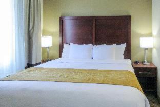 Clarksville Hotel | Comfort Suites Clarksville near Governors Square Mall
