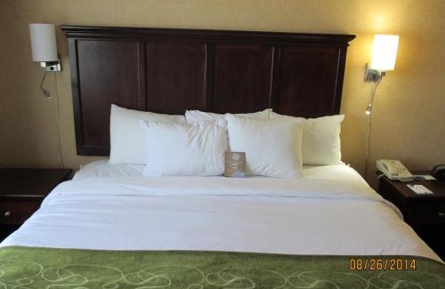 Columbia Hotel | Comfort Suites Columbia - University Area