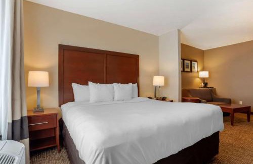 Foley Hotel | Comfort Suites Foley - North Gulf Shores