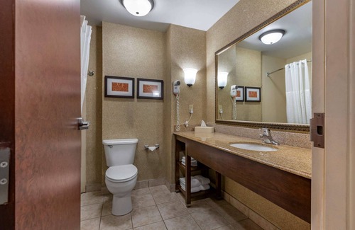 Grand Rapids Hotel | Comfort Suites Grand Rapids South