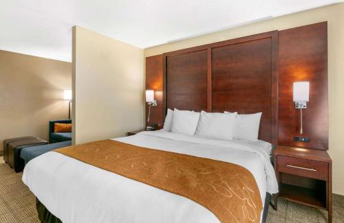 Hopkinsville Hotel | Comfort Suites Hopkinsville near Fort Campbell