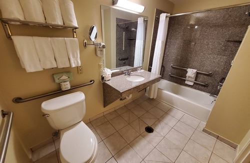 South Main Hotel | Comfort Suites Houston near Medical Center- NRG Stadium
