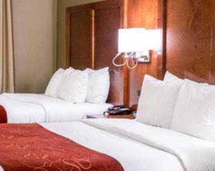 Newark Hotel | Comfort Suites Newark - Harrison