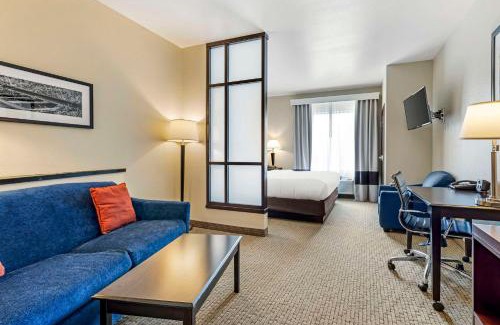 Palestine Hotel | Comfort Suites Palestine