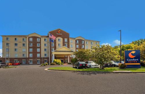 Norfolk - Virginia Beach Hotel | Comfort Suites Suffolk - Chesapeake