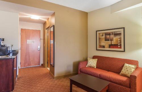 Norfolk - Virginia Beach Hotel | Comfort Suites Suffolk - Chesapeake