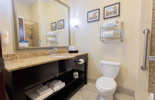 Troy Hotel | Comfort Suites Troy-I75