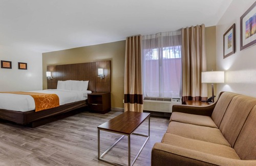 Tucson Hotel | Comfort Suites Tucson near Sabino Canyon