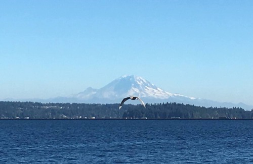 Brighton House | Comfortable 2 BR unit blocks from light Rail Train