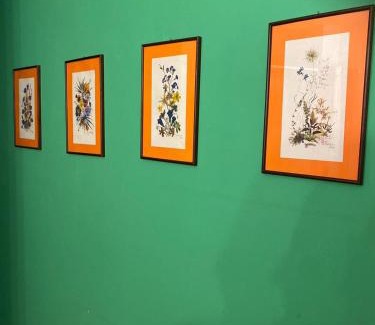 Roiano-Gretta-Barcola-Cologna-Scorcola Apartment | Comfortable and Friendly Apartment