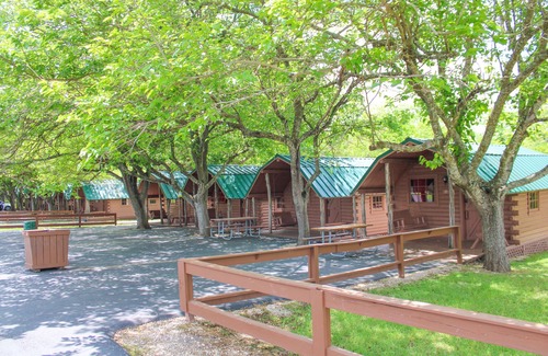 New Braunfels Cabin | Comfortable Cabin along the Guadalupe River