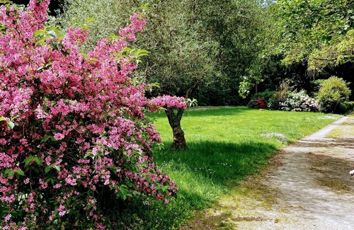 Suce-sur-Erdre Condo | Comfortable gîte, spacious garden with swimming pool, close to the Erdre river.