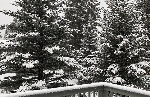 Big Sky Condo | Comfortable Hidden Village 2 Bedroom Condo-Family Friendly-Free WiFi