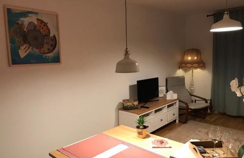 Sighisoara Apartment | Comfy Apartment