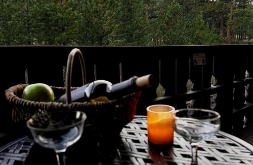 Estes Park Condo | Comfy Condo in Amazing Location <1 mile RMNP & Close to Downtown Estes Park