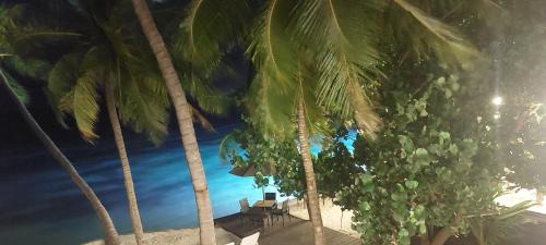 Dhiffushi Hotel | Comfy Cool Breeze by eMzaz