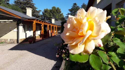 Sierra de la Ventana Cabin | Complejo Las Calandrias