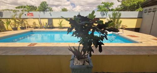 Paramaribo Apartment | Comva-Housing