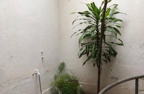 Santiago del Estero Apartment | Con Garage - Casa Acogedora en el Centro de la Ciudad