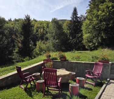 Maneciu House | Conacul Valea Popii