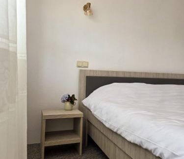 Maneciu House | Conacul Valea Popii