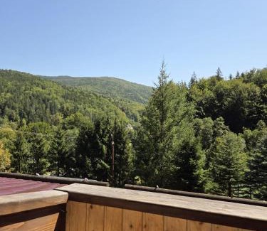 Maneciu House | Conacul Valea Popii