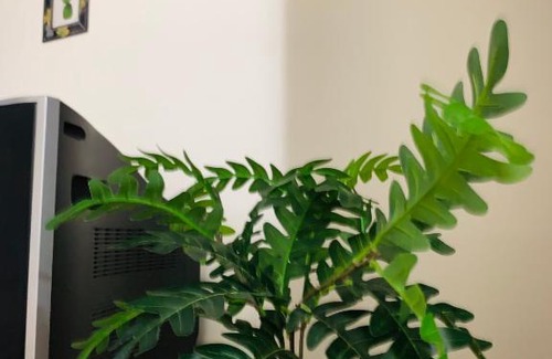 Ban Mai Apartment | Condo poppular T8 fl14