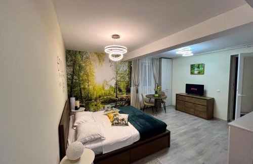 Alba Iulia Apartment | Confort Studio