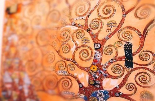 Biella Apartment | Confortevole nel cuore di Biella