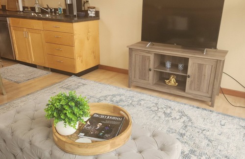 Central - Terry Condo | Contemporary Downtown Retreat 2-bedroom condo in Billings