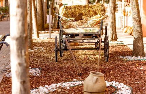 Guzelyurt Hotel | Continent Hotel Kapadokus Thermal