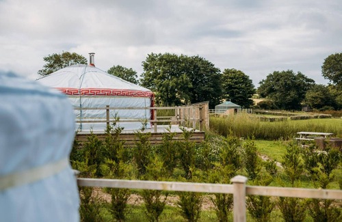 Newquay Cabin | Copper Beech - A luxury Mongolian-inspired Yurt in eco-friendly glamping hideout near Newquay