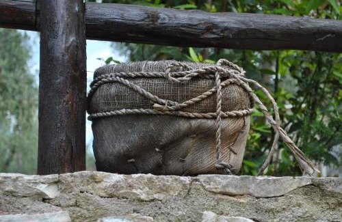 Chiesiola Bed & Breakfast | Coppola Rossa Relax