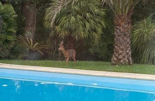 Saint-Andre-de-Seignanx House | Coquette chambre personnalisée chez l habitant
