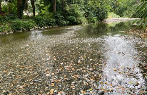Maple Ridge House | Cora Rivergarden Retreat