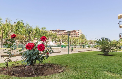 Porticato Apartment | Coral View Studio in Chianchitta-Pallio