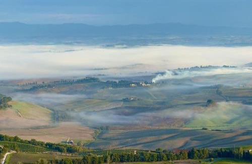 Montalcino House | CORNER NEST IN MONTALCINO