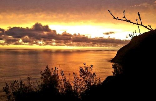 Anzo-Setta Apartment | Corner of Paradise near Cinque Terre