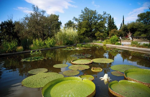 Bompas Apartment | Cosy, bright studio 3 min from shops - Near Perpignan & beaches.